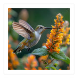 Hummingbird Feeding On Yellow Flowers Nectar (Print Only) thumbnail