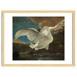 The Threatened Swan. The Threatened Swan; Interpreted later as an Allegory on Johan de Witt. Dati... thumbnail
