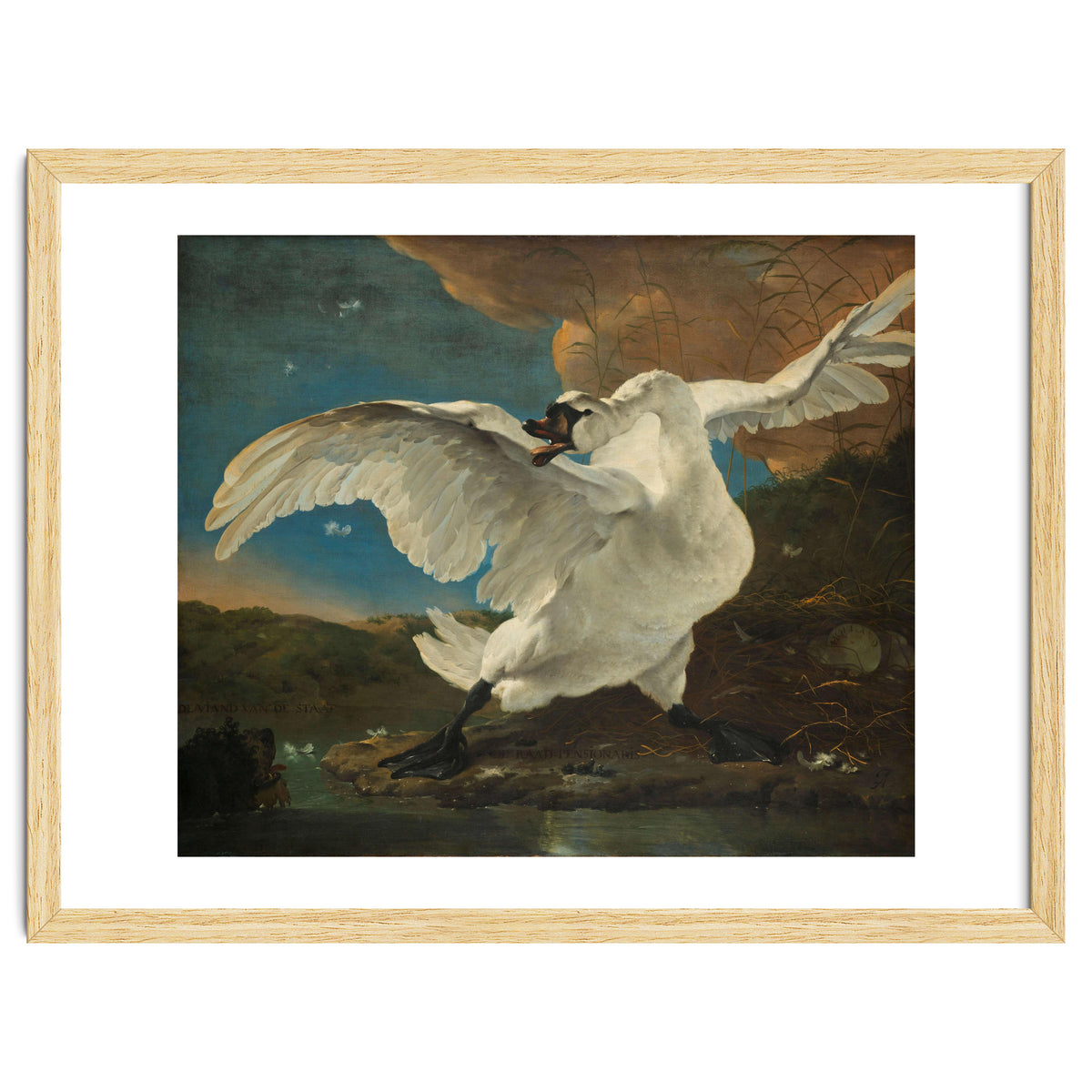 The Threatened Swan. The Threatened Swan; Interpreted later as an Allegory on Johan de Witt. Dati...