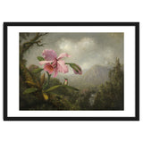 Martin Johnson Heade (Lumberville, 1819-St. Augustine, 1904). Orchid and Hummingbird near a Water... thumbnail