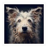 Old Dog 07 (Print Only) thumbnail