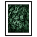 New Foliage Green Ii thumbnail