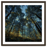 Celestial Forest Canopy with Swirling Golden Fireflies and Deep Twilight Blue Sky Digital Art thumbnail