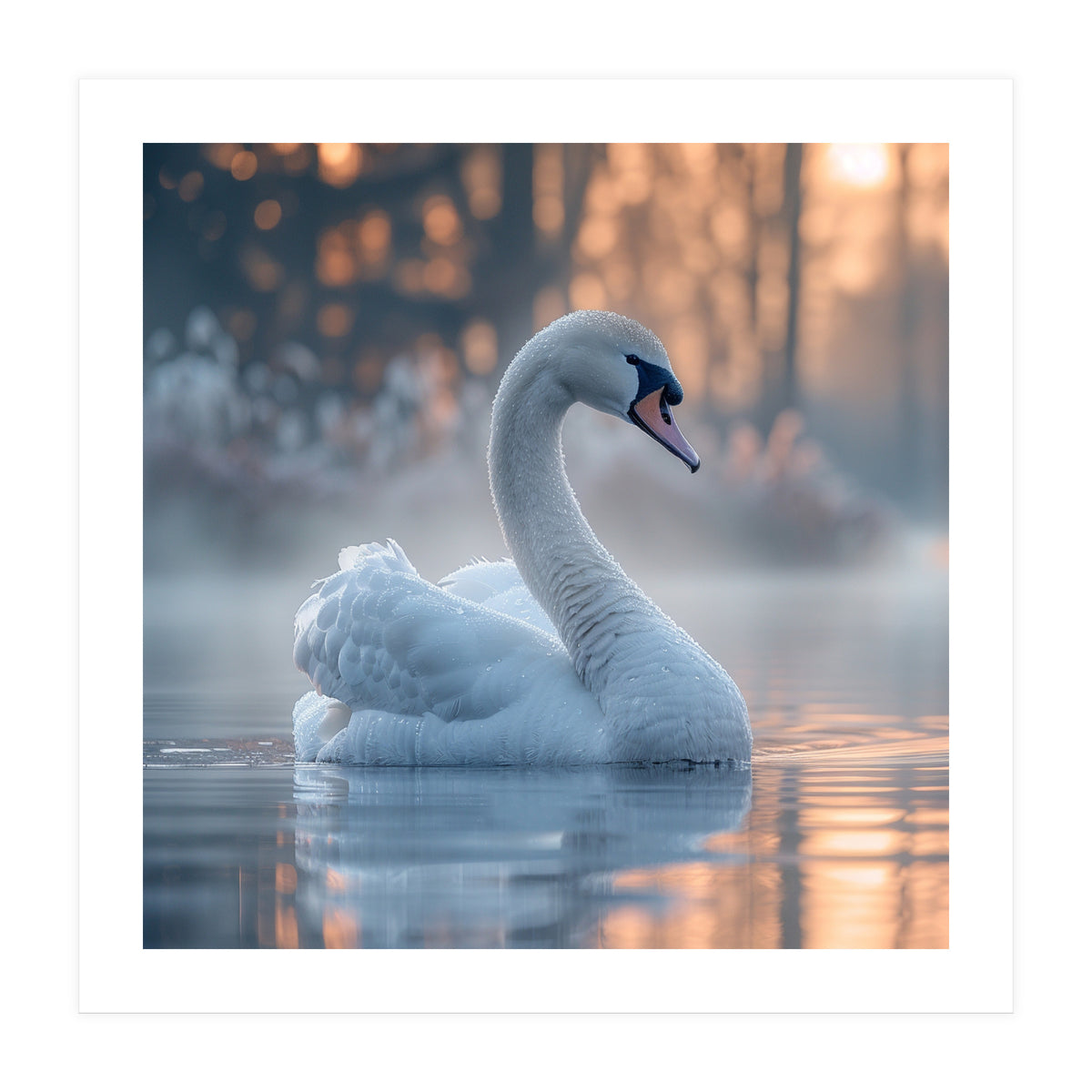 Serene White Swan Gliding On Misty Water (Print Only)