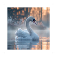 Serene White Swan Gliding On Misty Water (Print Only)