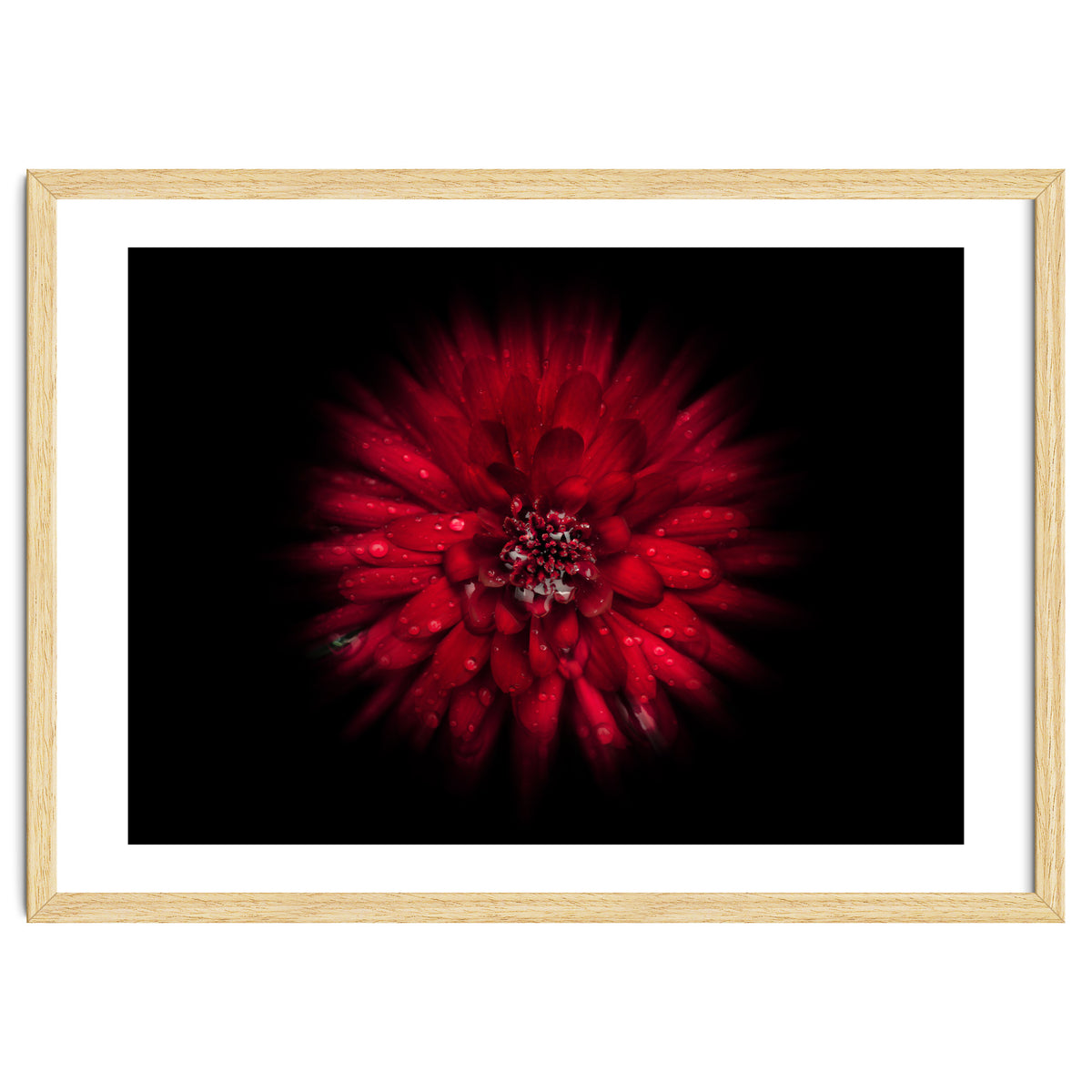 Backyard Flowers No 45 Color Flow Version