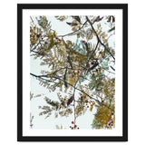 Patterns In Nature thumbnail