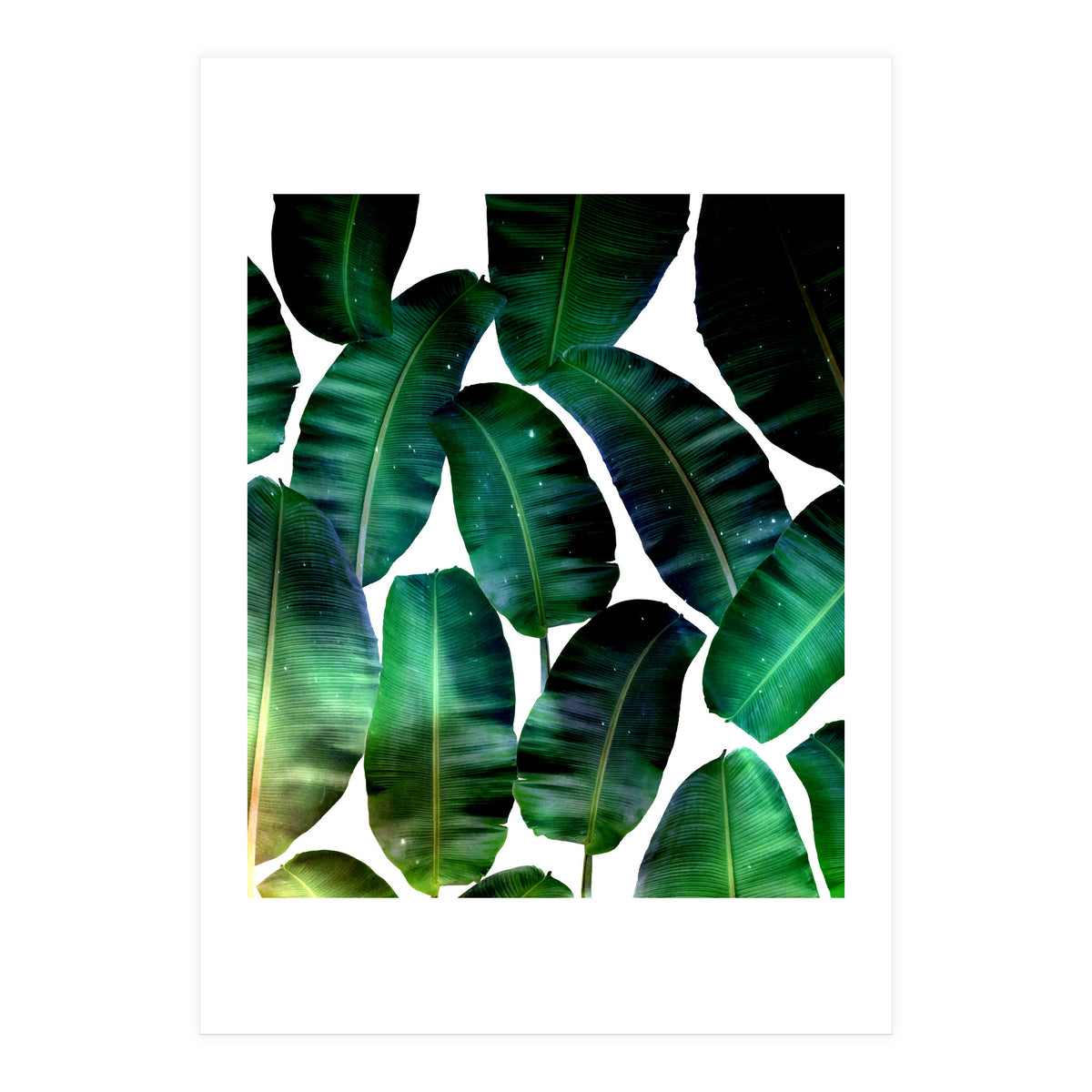 Cosmic Banana Leaves (Print Only)