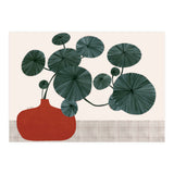 Stephonia Erecta plant (Print Only) thumbnail