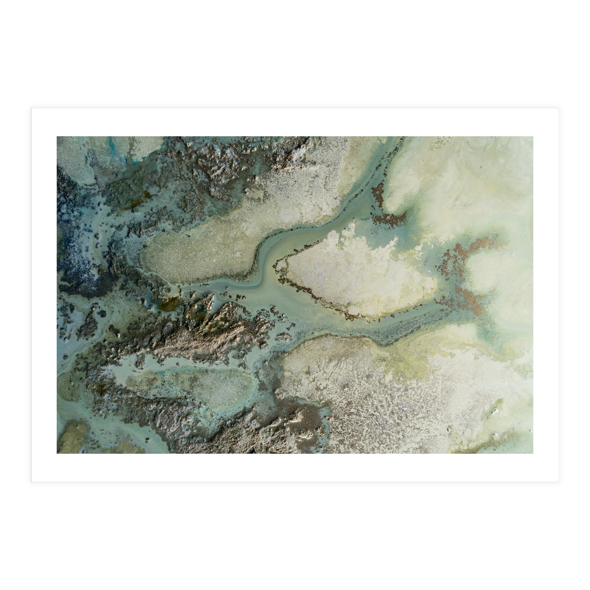 Evergreen (Print Only)