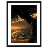 The Hill thumbnail