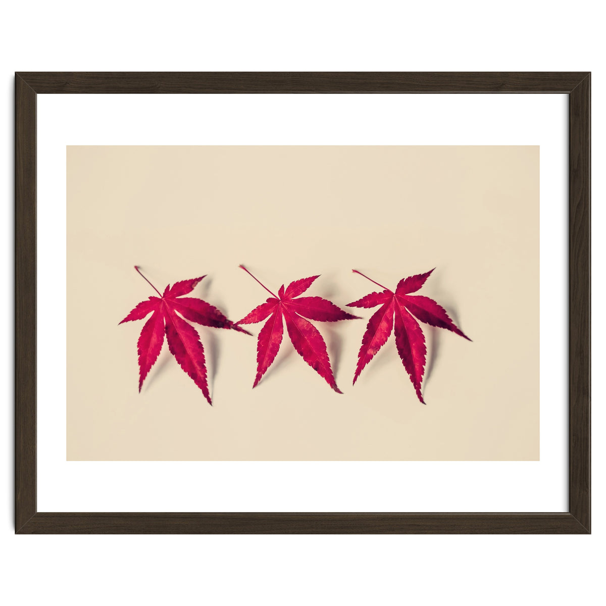 Dancing Leaves