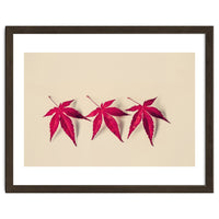 Dancing Leaves