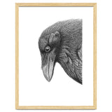 Huginn thumbnail