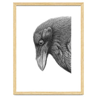 Huginn