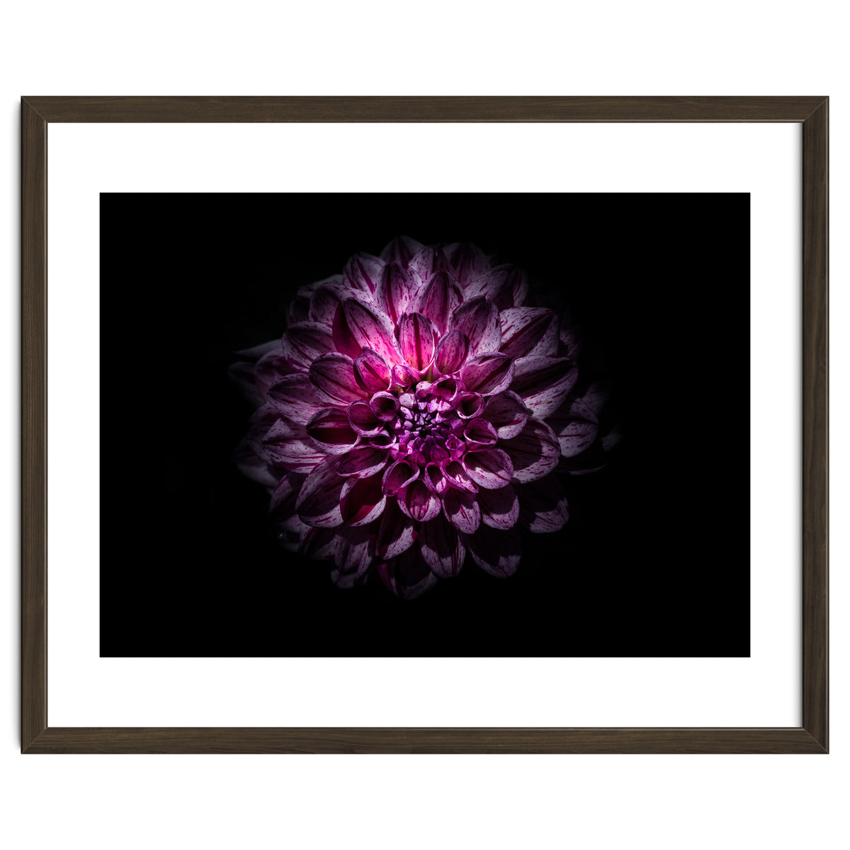 Backyard Flowers No 57 Color Version