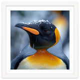 King Penguin In Falling Snow thumbnail