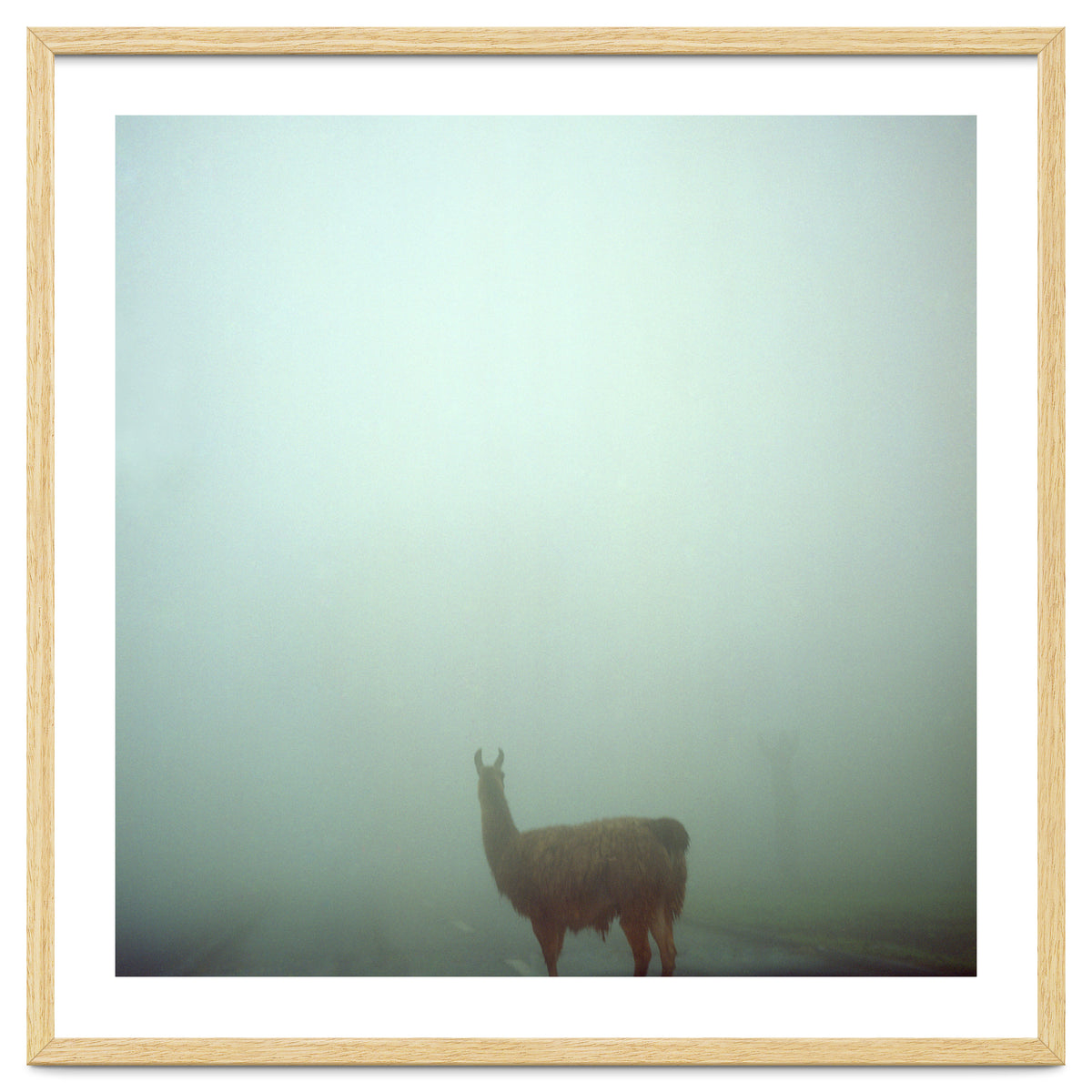 Silence of breath - 04