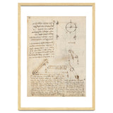 Folio f 172v. Codex Madrid I (Ms. 8937) 