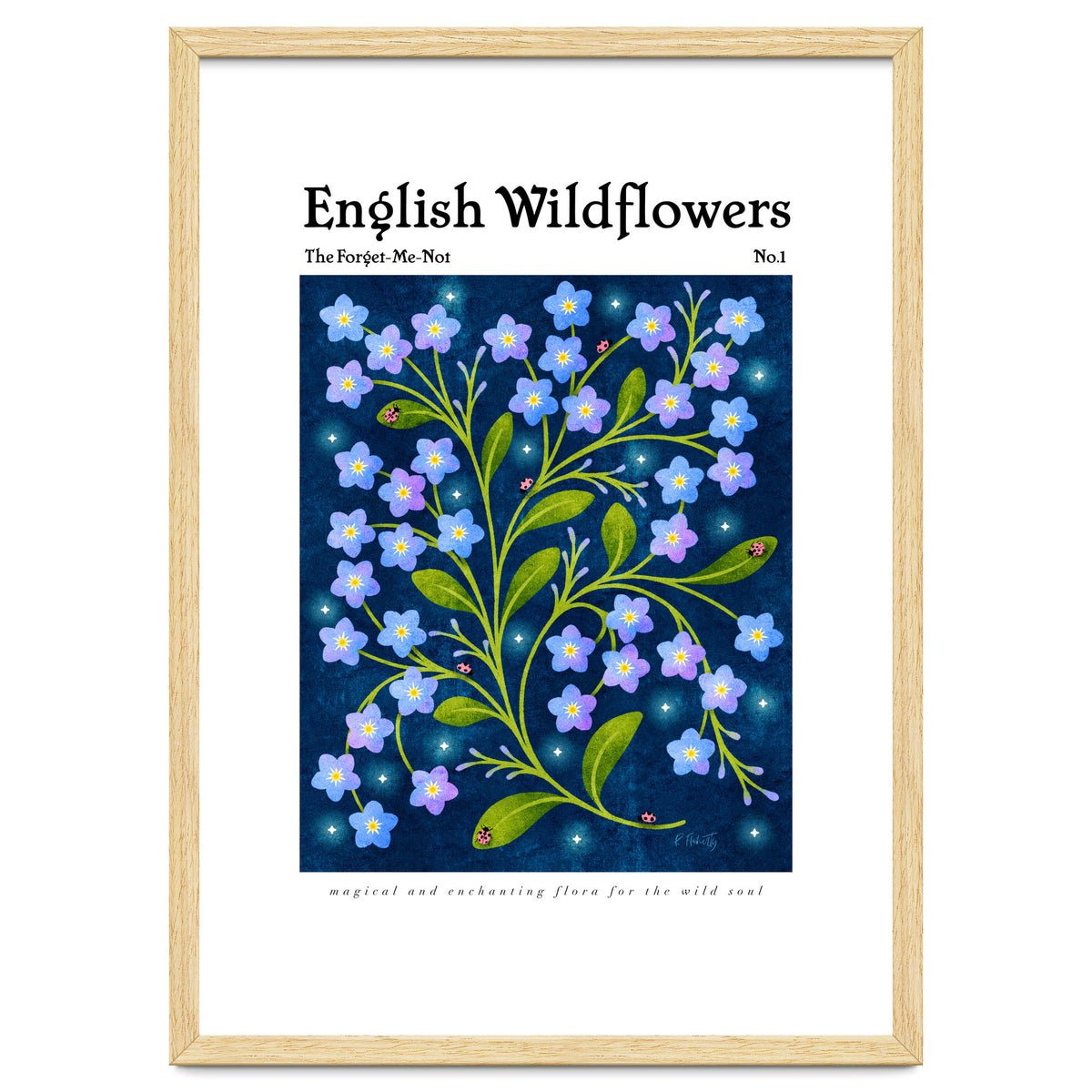 English Wildflowers | Forget-Me-Not