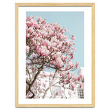 Spring Time thumbnail