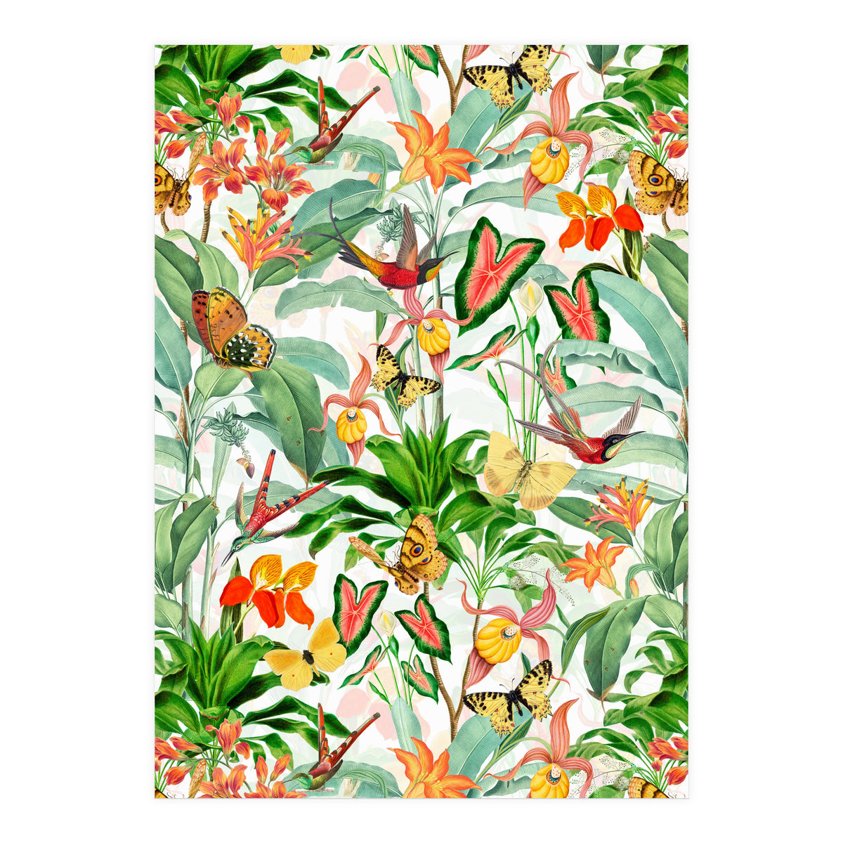 Birds And Butterflies In Tropical Jungle (Print Only)