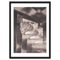 Evolving | Sepia