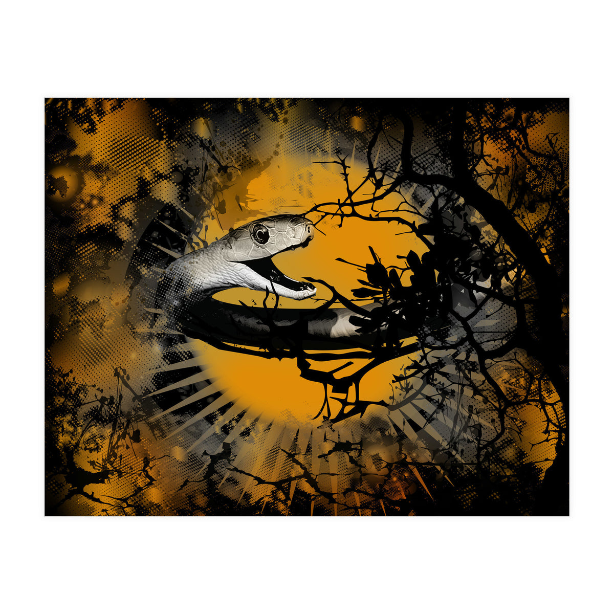 Black Mamba  (Print Only)