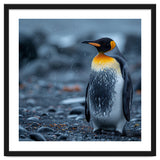 King Penguin Standing In The Rain thumbnail