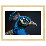 Close Up Peacock Head Blue Green Feather thumbnail