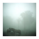 Silence of breath - 15 (Print Only) thumbnail
