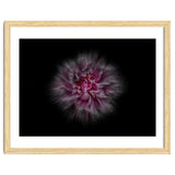 Backyard Flowers No 116 Color Flow Version thumbnail