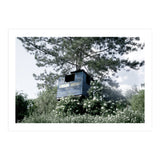 Blue hut on the tree (Print Only) thumbnail