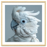 White Cockatoo Bird Portrait Close Up thumbnail