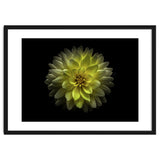 Backyard Flowers No 128 Color Version thumbnail