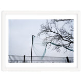 Net caught in a tree thumbnail
