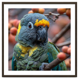 Yellow Headed Amazon Parrot Close Up Portrait thumbnail