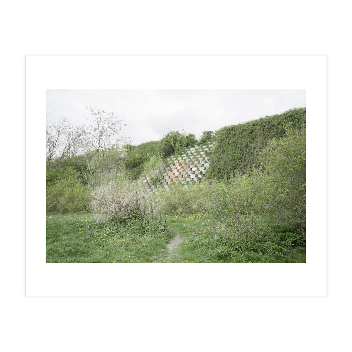 Green grass wall (Print Only)