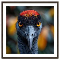 Close Up Of A Strikingly Beautiful Bird Face