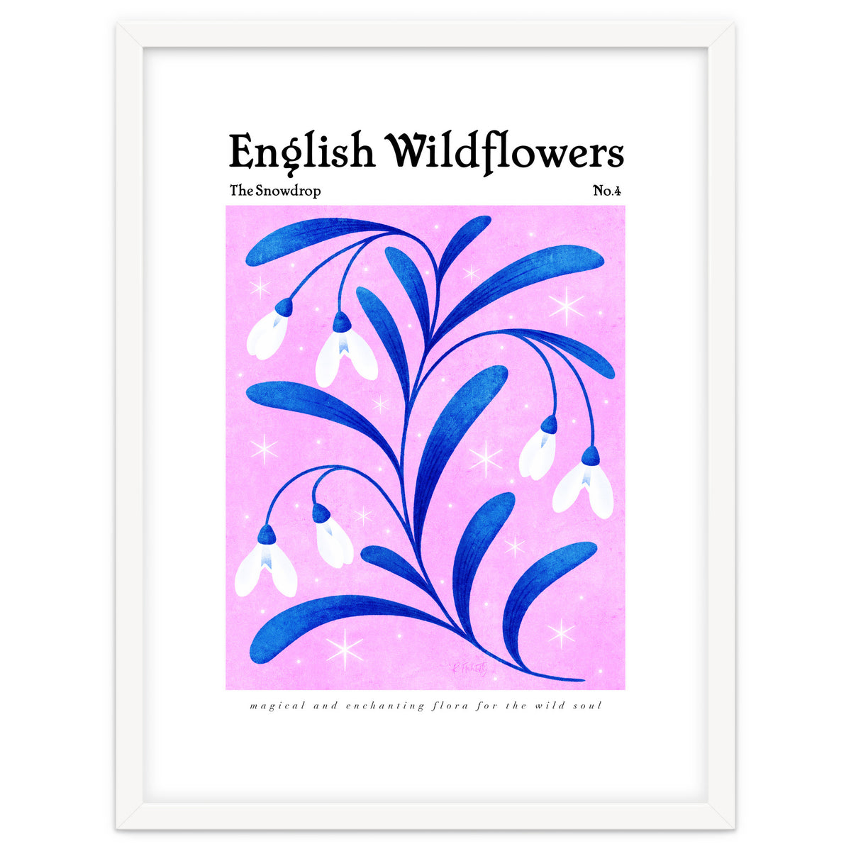 English Wildflowers | Snowdrops