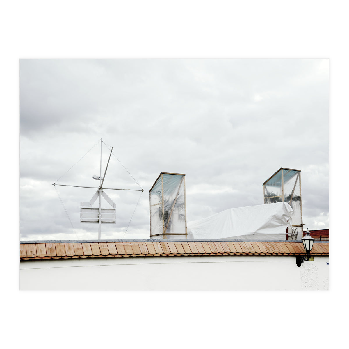 Palm tree waiting for summer (Print Only)