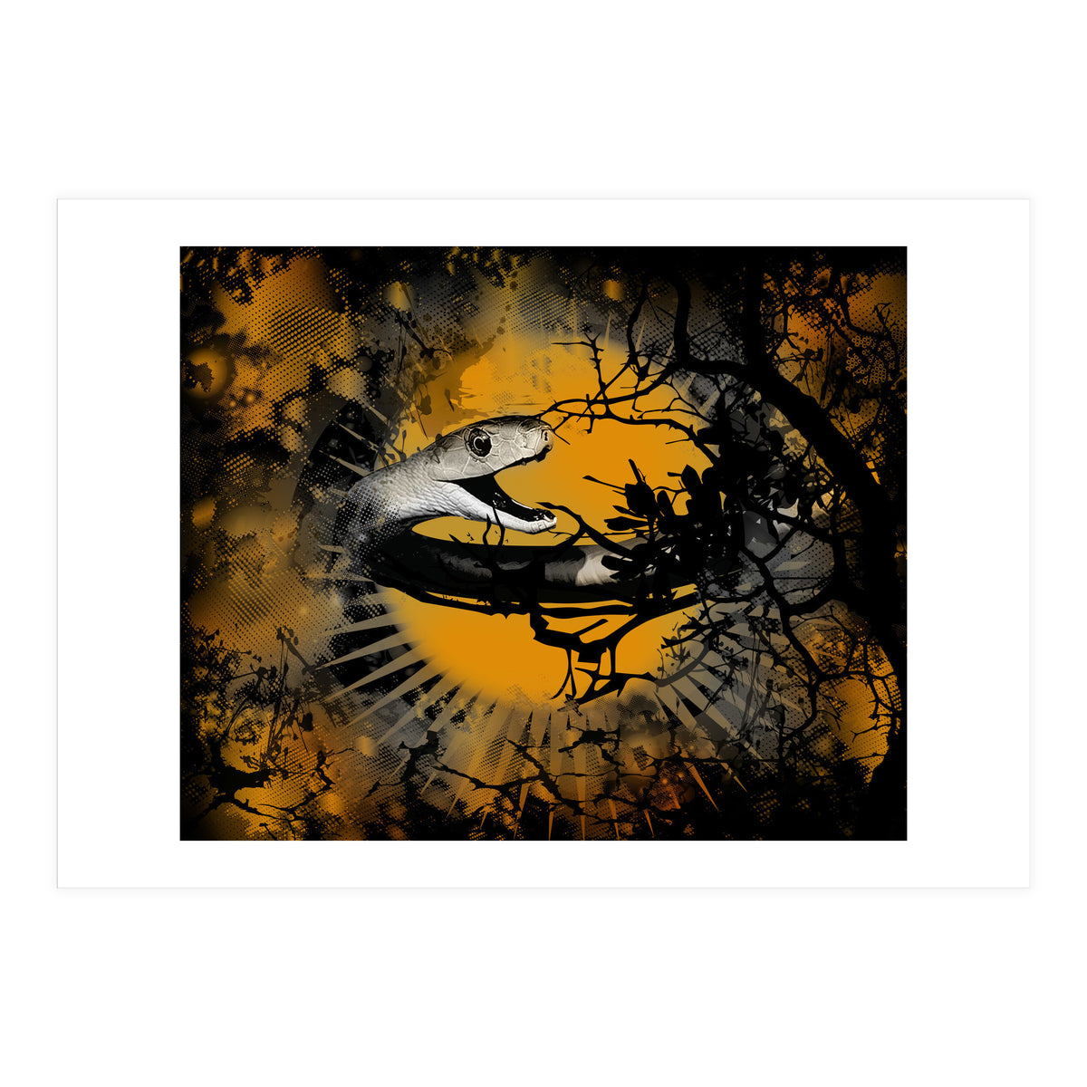 Black Mamba  (Print Only)