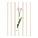 Single Tulip (Print Only) thumbnail