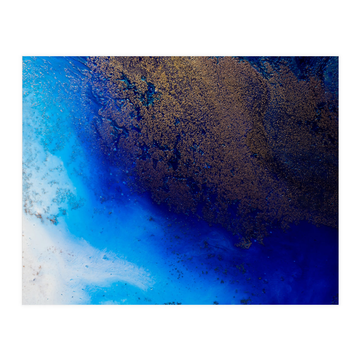 The Big Blue (Print Only)