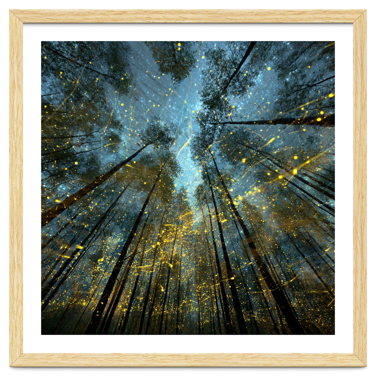 Enchanted Night Forest with Glowing Fireflies