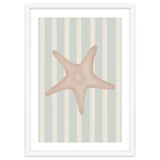 Starfish thumbnail
