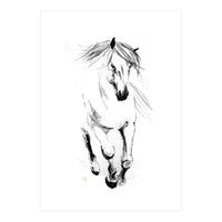 Runninh Ghorse In Water (Print Only)