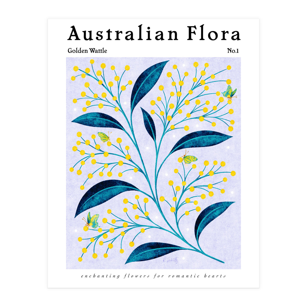 Australian Flora: Golden Wattle (Print Only)