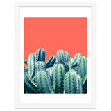 Cactus On Coral thumbnail