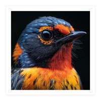 Vibrant Bird With Orange And Blue Plumage (Print Only)